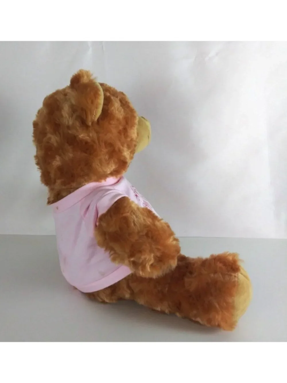 Brown Teddy Bear Wearing Camp All Stars T-Shirt Super Soft 9